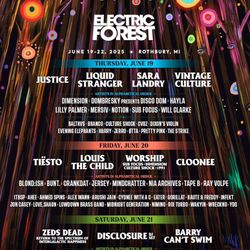2 Wristbands For Electric Forest!