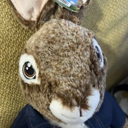 Peter Rabbit Plush