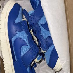 Brand New Dunk Lows Size 9.5M