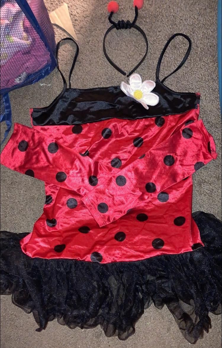 Junior Lady Bug Costume