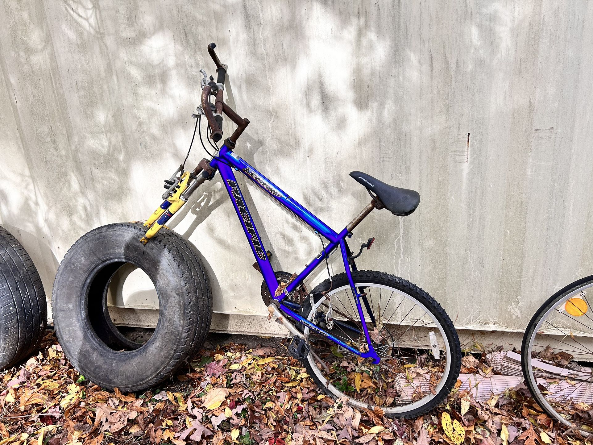 Ol’ Bike ñ Monongahela