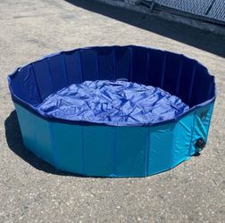 Dog Pet Kid Pool