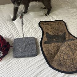 bundle of cat toys and scratcher
