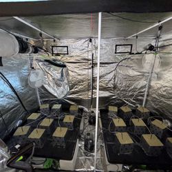 Hydroponic Grow Equipment Full Set