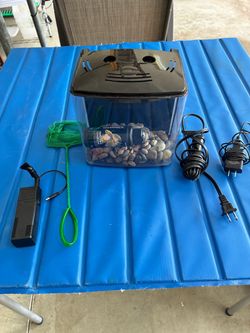 One gallon complete fish tank