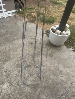 Vegetable or plant