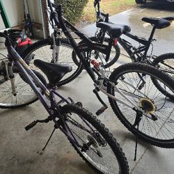 3 Mountain Bikes 