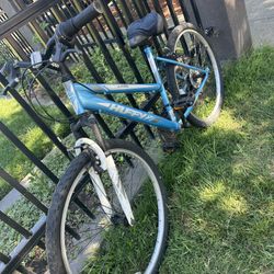 Mountain Bike 