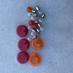 Harley Davidson  Turn And Tail Light Lens W/bulbs 