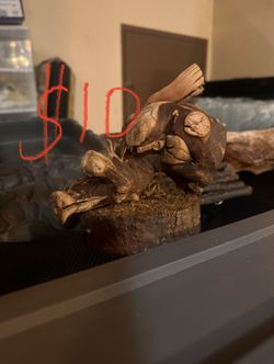 Bearded Dragon Wood Decor