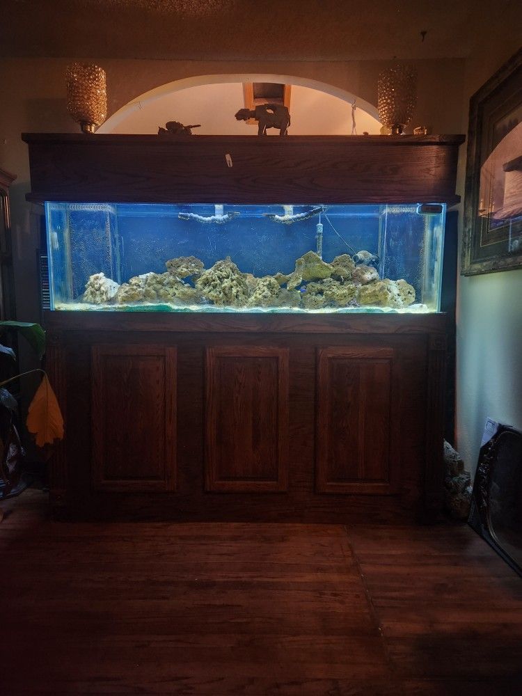 Salt Water Fish Tank Stand And Canopy