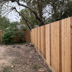Cedar Fence