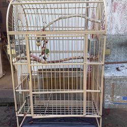 Bird Cage