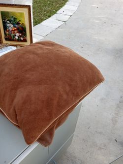 7 Feather Cushions $15 Each