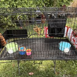 Bunny Cage