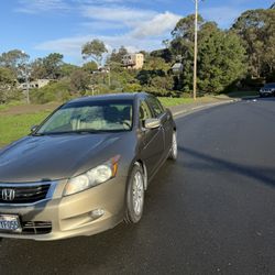 2009 HONDA ACCORD EX- L w/ Navigation 