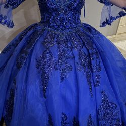 Quinceanera Dress Or Sweet 16 Birthday !!