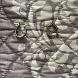 Silver earrings with a little diamond