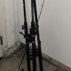 Fishing Rods And Reels