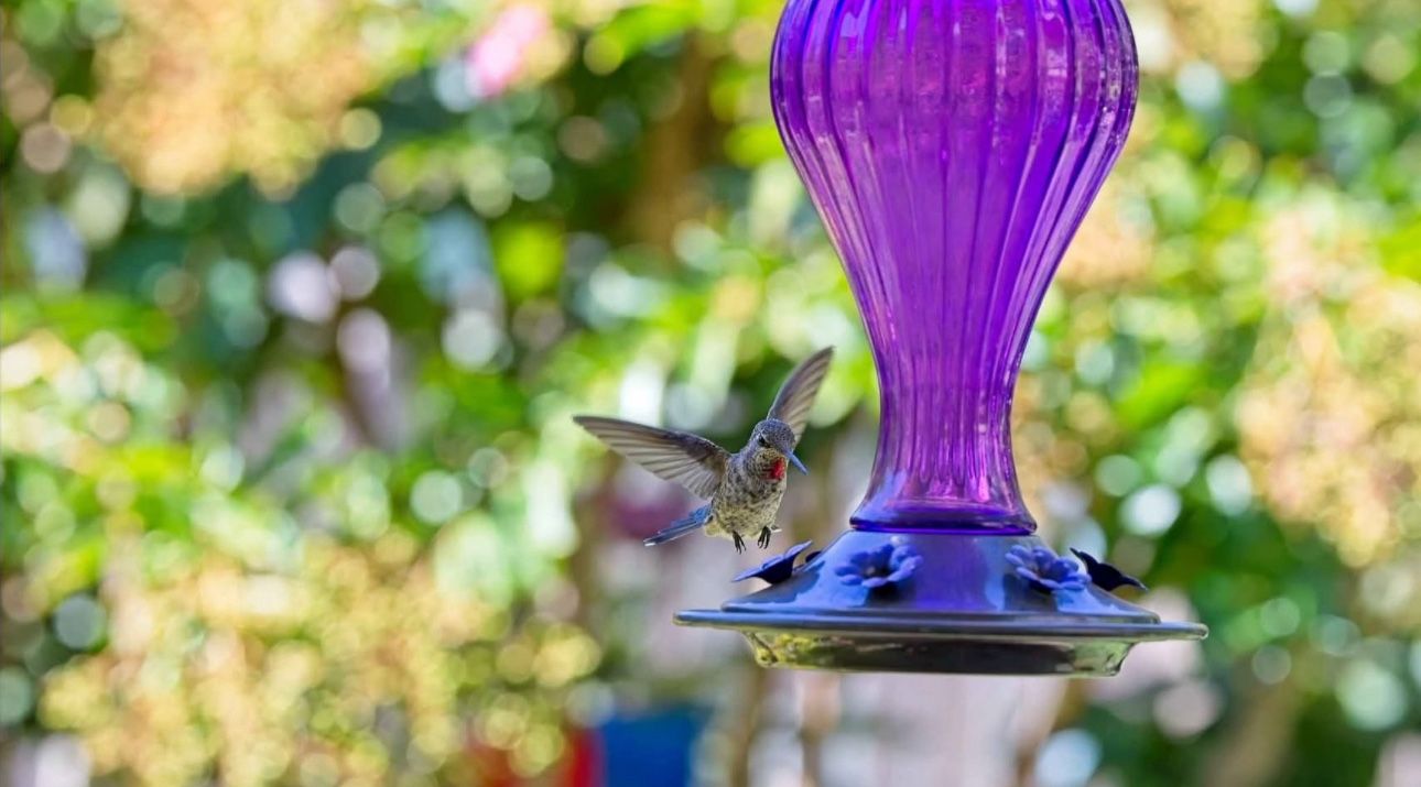 Canon - 100 mm to 400 - f/4.5 - 5.6 - Telephoto Zoom Lens for EF - 9524B002