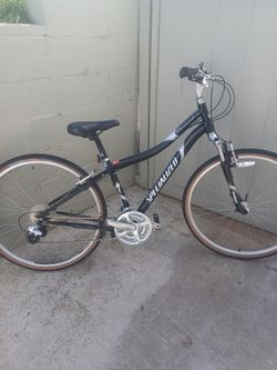 SPECIALIZED size700 Speed24 Frame17