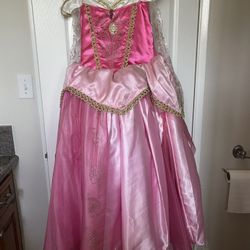 Disney Sleeping Beauty