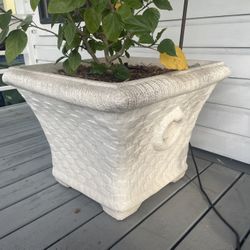 Set Of 25x25x20 Concrete Planters