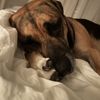 Magdalena Paw