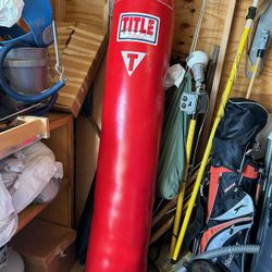 Title Classic Banana Heavy Bag IV