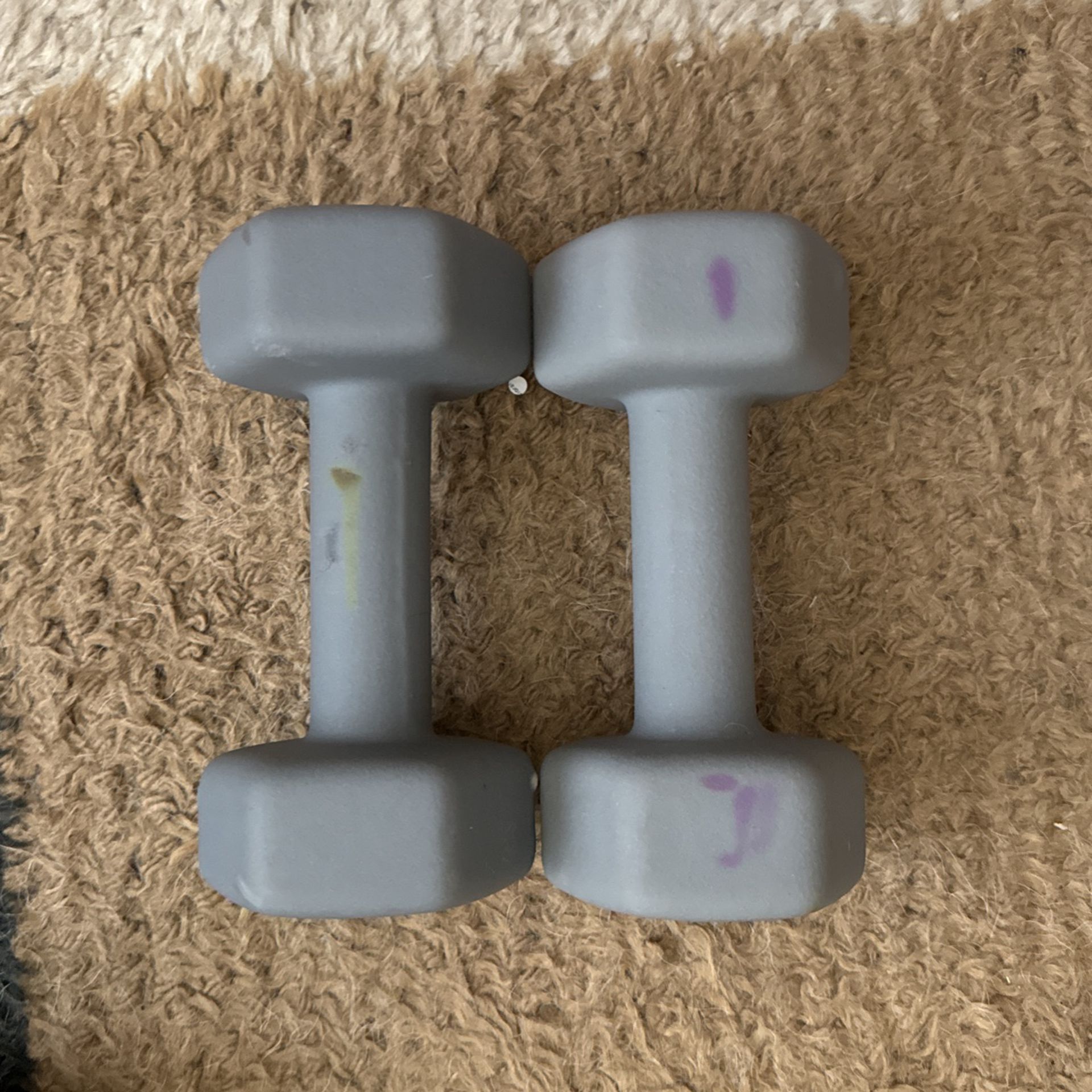 12lb Hand Weights