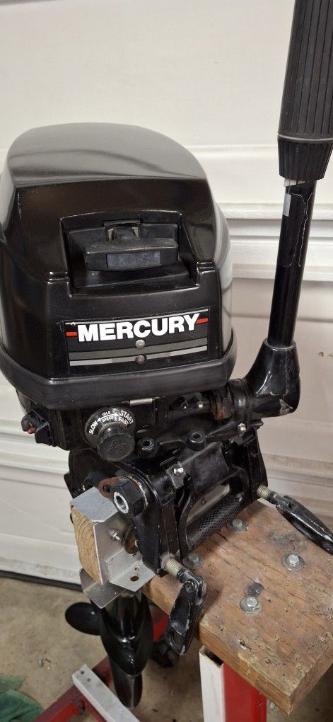 Mercury 9.9