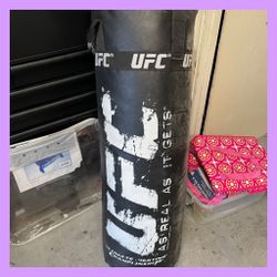 UFC Punching Bag