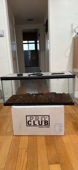 Reptile tank