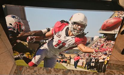 Arizona Cardinals Larry Fitzgerald wall art