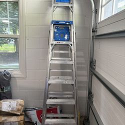 Werner 6 Ft Aluminum Ladder
