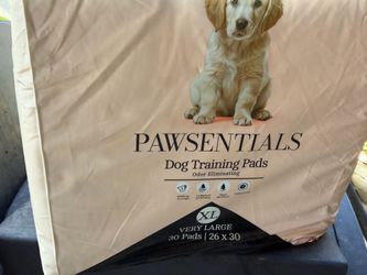Dog Training pads large
