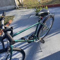 Mountain Bike