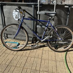 Specialized Sport Bike