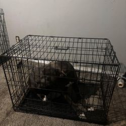 Medium Dog Crate 