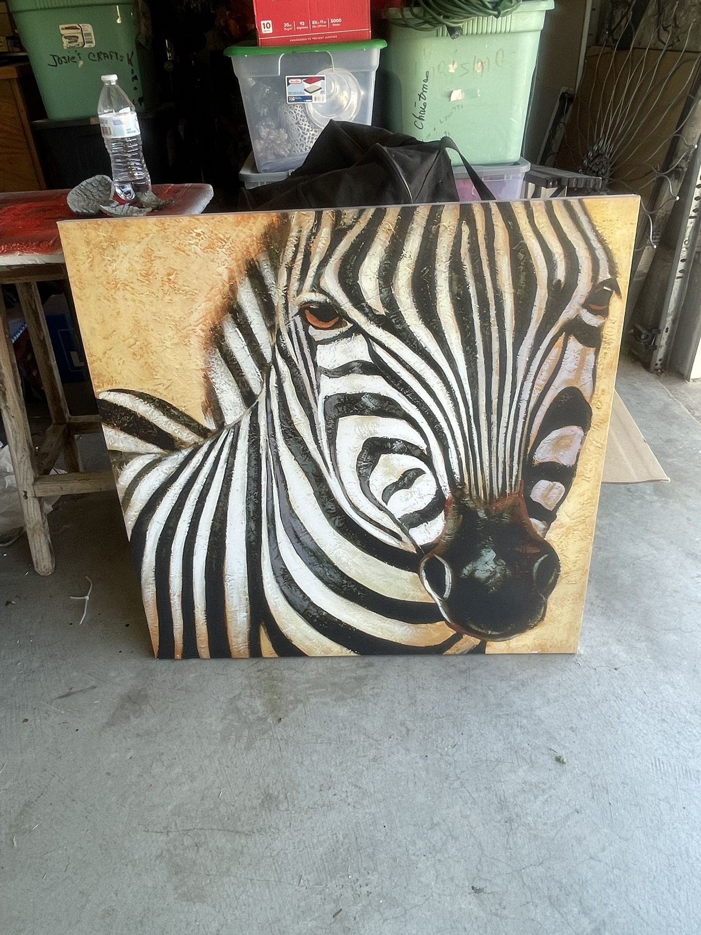 Zebra Canvas