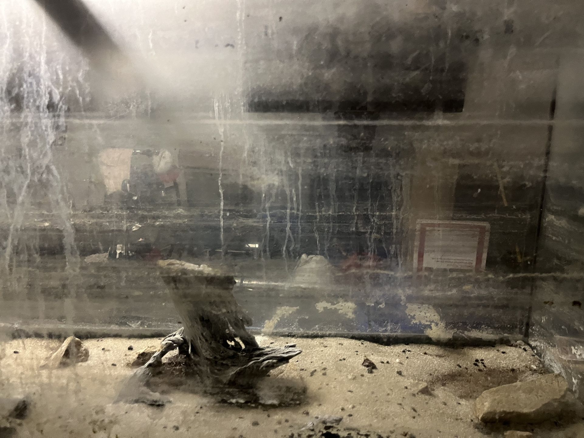 Fish Tank Lot