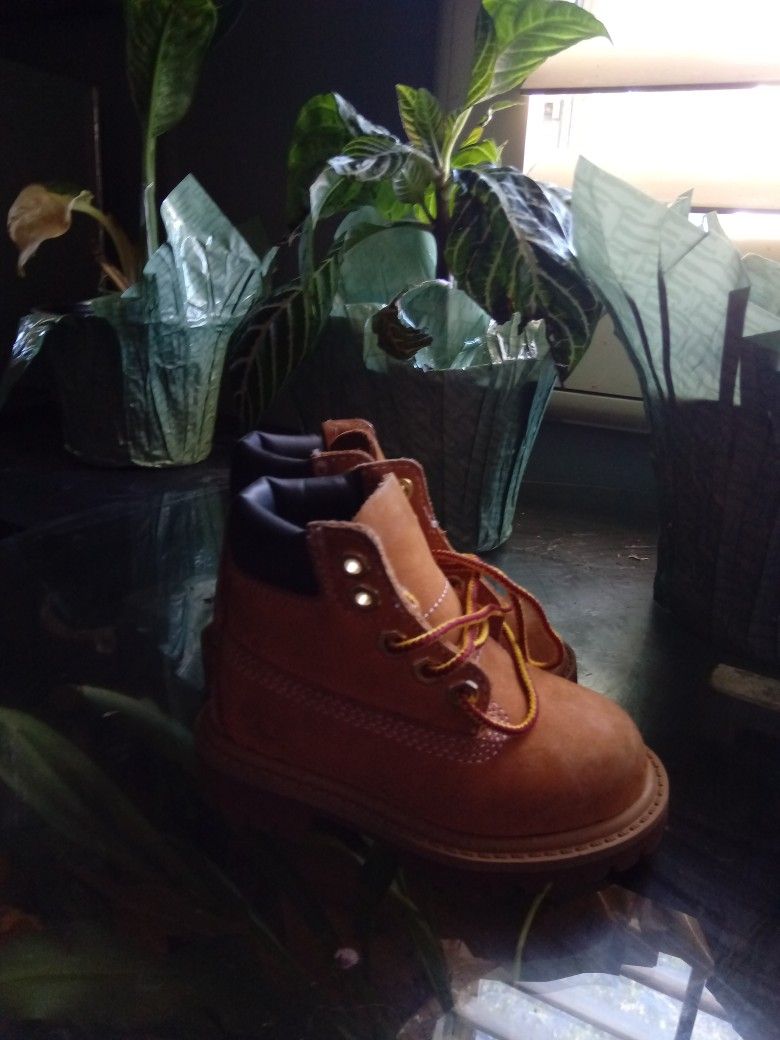 Baby Timberlands