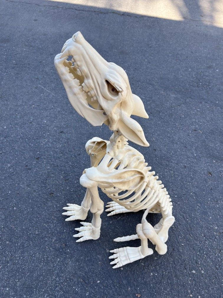 Graveyard Dog