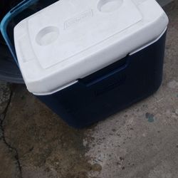 Cooler
