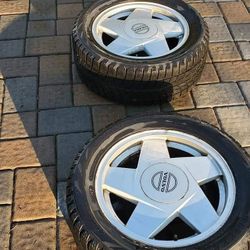 Wtb