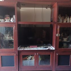 Entertainment Center