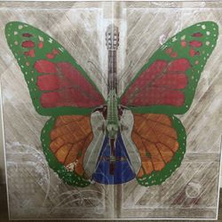 Large  Butterfly 🦋 Picture