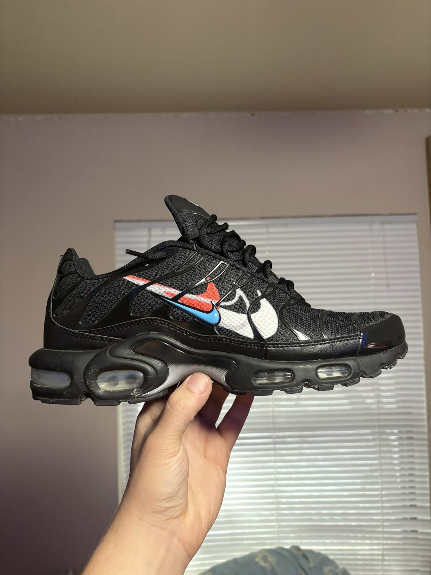 nike air max plus men’s size 12