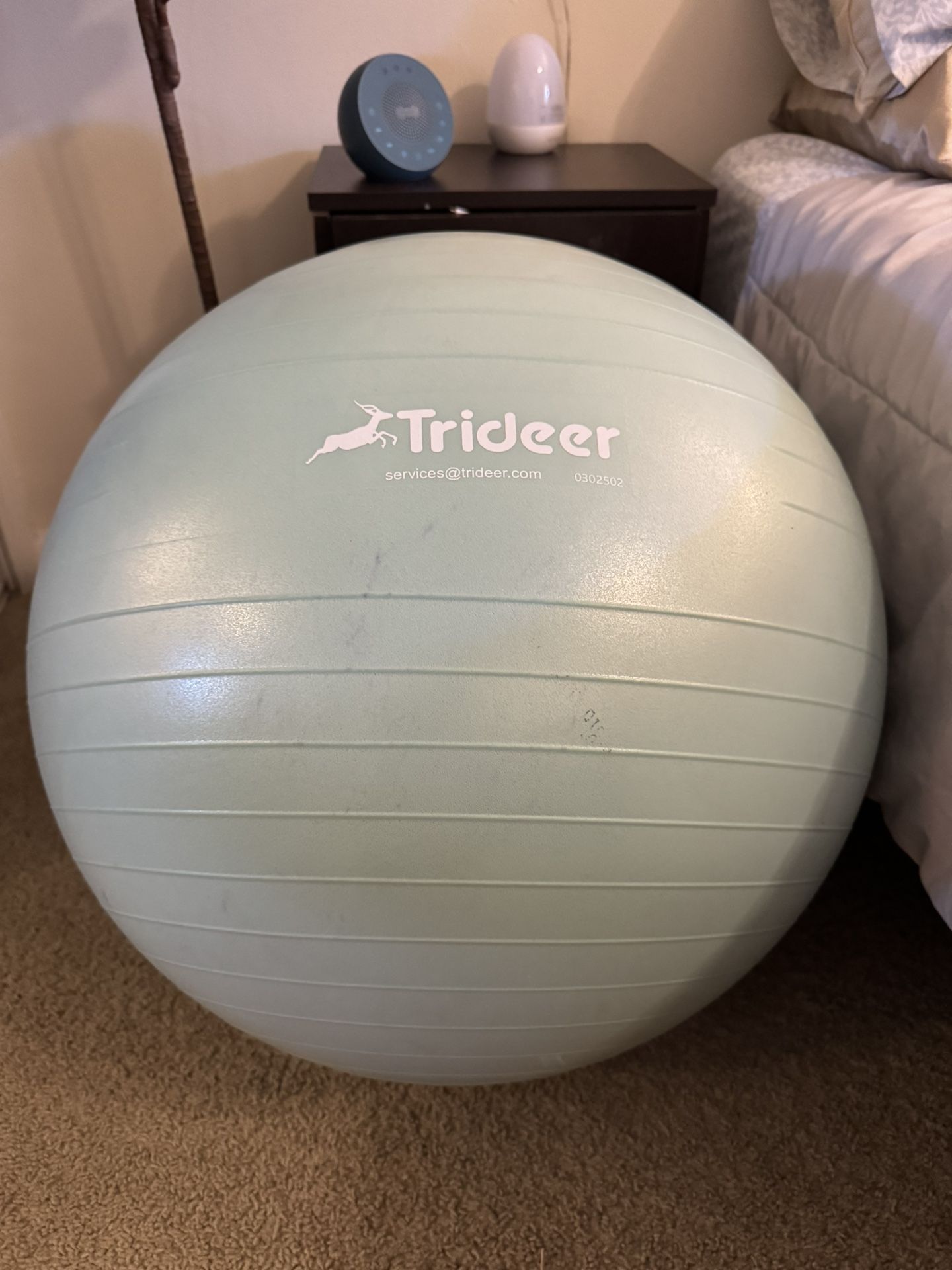 Yoga Ball/Birth Ball
