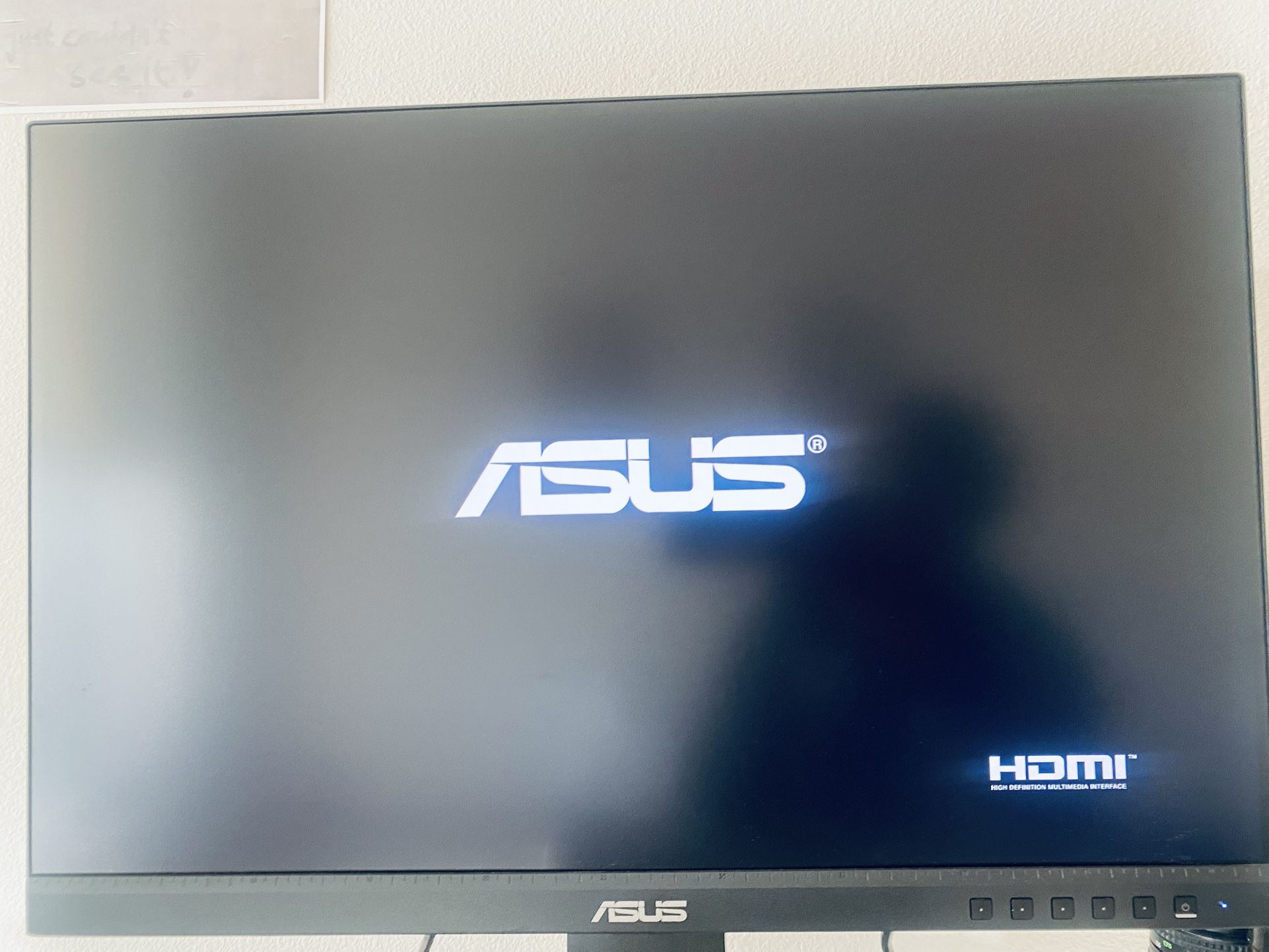 ASUS Pro art PA248QV 24.1 Monitor